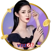 vnz66
