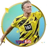 vnz66