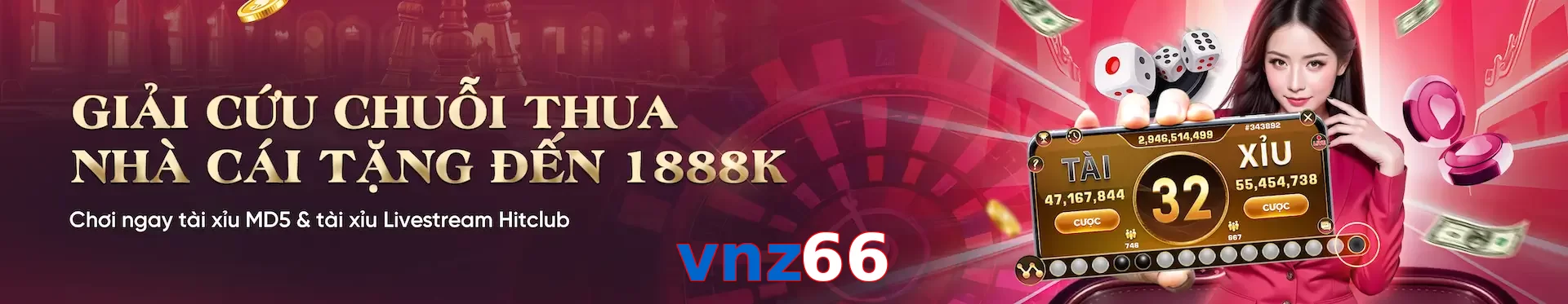 vnz66