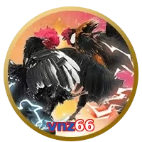 vnz66